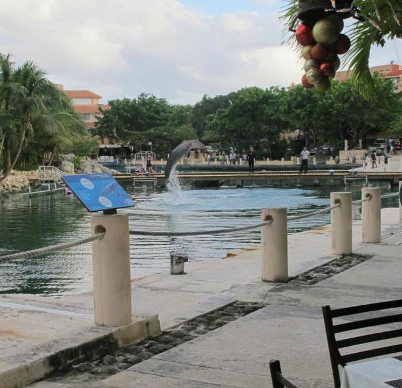 Puerto Aventuras, Departamento A Unos Pasos De La Playa Appartement Buitenkant foto